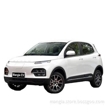 Made in China a new energy electric vehicle with a 300 km driving range for adults Dayun Yuehu  a small mini five seater